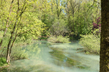 Obraz premium Birth of the Ebro River in Fontibre