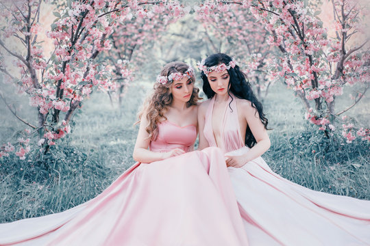 Two stunning elf are sitting in the fabulous cherry blossom garden. Princesses in luxurious, pink dresses. Blonde and brunette with long, healthy hair. Handmade diadem decoration. Art photo