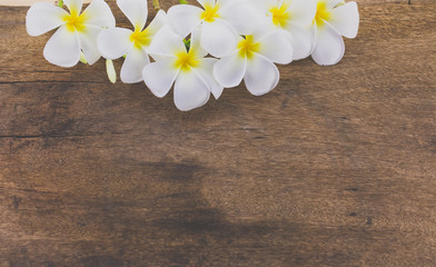 Obraz premium Frangipani, Pumeria, Frangipanni, isolated on wooden background