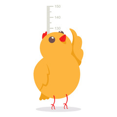 Cute little chicken measuring the height on meter wall chart growth size. Vector cartoon flat illustration of chick isolated on a white background.