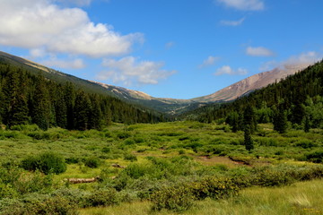 Fototapeta na wymiar Open meadow to the mountain pass