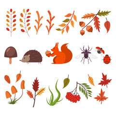 Fall decorative elements. Autumn leaves, grass, mushrooms, animals and bugs. Vector flat simple icons set isolated on white background.