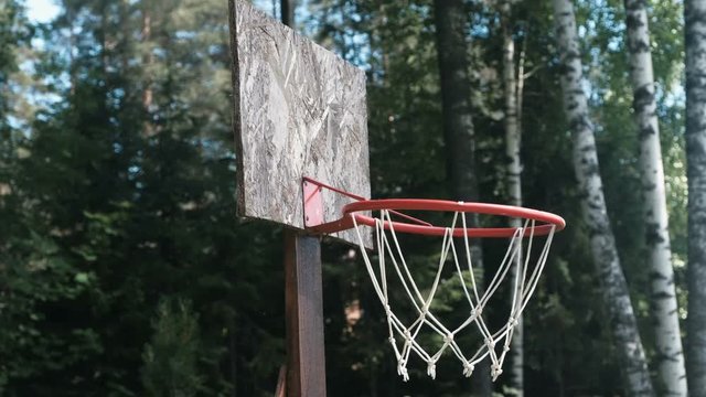 Basketball ring in the Park among the trees close-up.