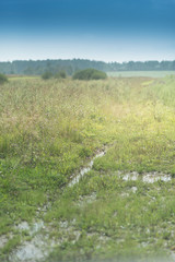 Deep ruts with water from a tractor and big trucks on the edge of rural fields