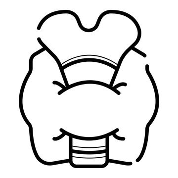 recommend clip art: thyroid vector icon