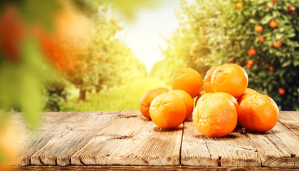 Fototapeta na wymiar Fresh orange fruits and garden background with summer sun light