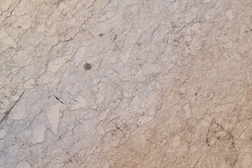 Texture of old light stone floor