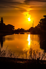 sonnenaufgang über dem fluss