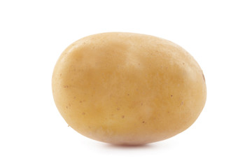 potato isolated on white background