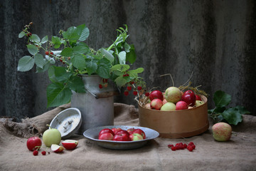 Raspberry bushes with red apples