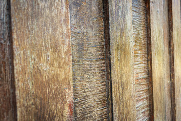 Texture of an old brown lacquered wooden door. Close-up shot