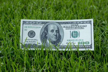 American dollars in the grass