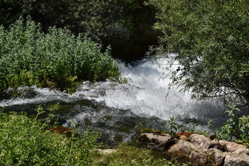 La corriente