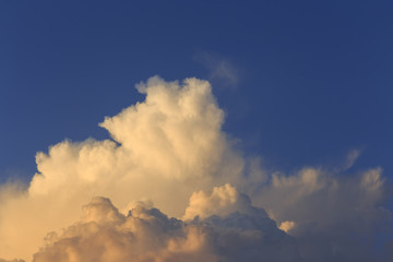 Cumulus at sunset. Sky and clouds background.