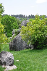 Stone Forest. Shilin, China