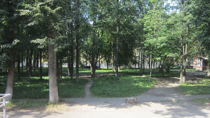 старый парк