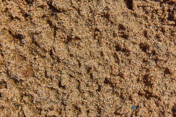 Sand after rain, texture.