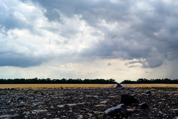 Rural landscape-fields with a road between them on the background of a strip of dense forest and the sky with gray storm clouds.