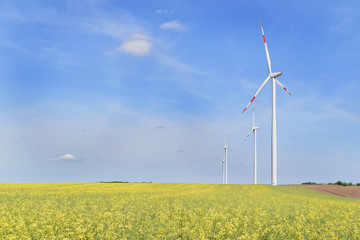 Wind farm in Alibunar, Serbia   