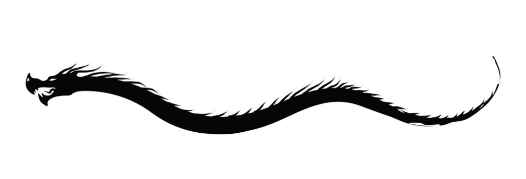Dragon silhouette floating crawling