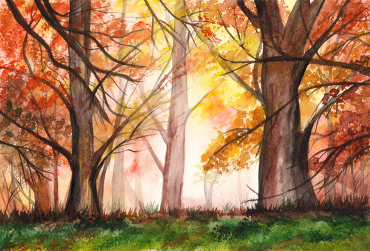 Watercolor landscape of autumn red forest. Sunlight and autumn forest. Illustration.