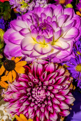 Photo of close-up abstract flower background consist of many flowers