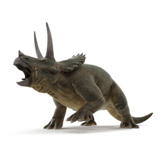 Triceratops dinosaur on white. 3D illustration