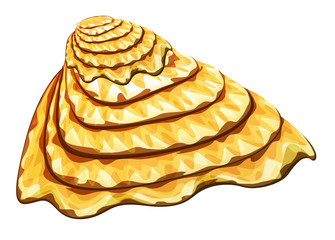 cartoon sea shell on white background - illustration for children