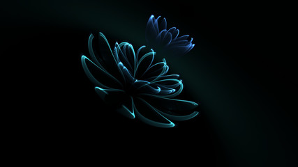 Blue ghostly flower - Abstract fractal flame of a semi-transparent flower on a black background. The flower has three layers of petals.