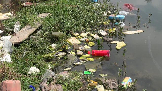 Environmental pollution (garbage in the lake) in Xian Urban Village slums of Guangzhou. Guangdong, China