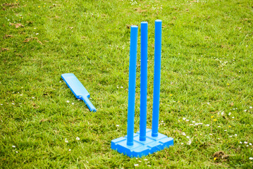 Blue Plastic Cricket Bat and Stumps