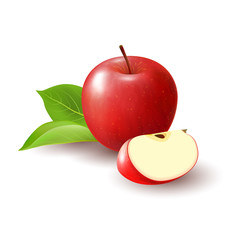 Isolated realistic colored red apple slice and whole juicy fruit with green leaves and shadow on white background.