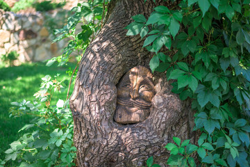 the image of a fairy-tale hero in the tree trunk.