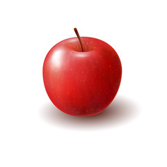 Isolated realistic colored red apple. Whole juicy fruit with shadow on white background.