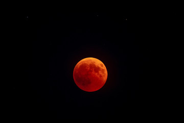 Naklejka premium red moon eclipse