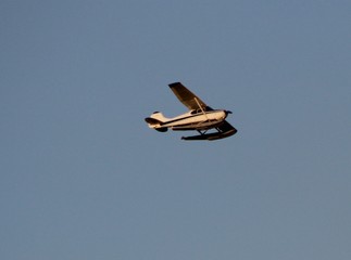 Sea Plane