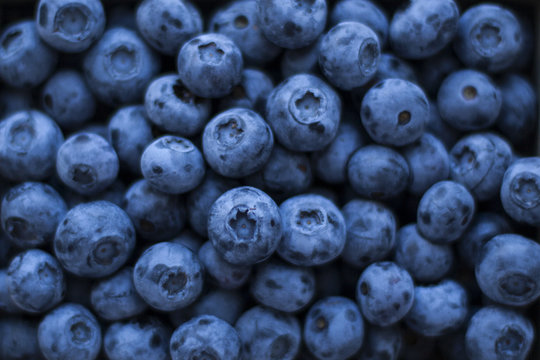 Fresh, fragrant blueberries like a background in dark colors