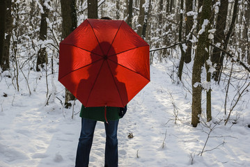 Winter umbrella shadow/Shadow silhouette portrait of a girl in a green coat holding a red umbrella in a snowy forest and back lit by the setting sun.