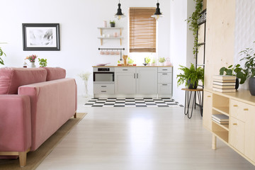 Wooden cupboard and pink sofa in bright flat interior with kitchenette and poster. Real photo
