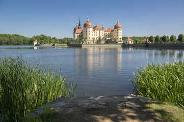 Obraz premium Castle Moritzburg in Saxony near Dresden in Germany surrounded by pond, reflection blue lake, blue sky
