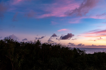 紅色に染まる南国の夕暮れ
