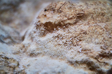 Caverns Cave Exploration Marengo Indiana