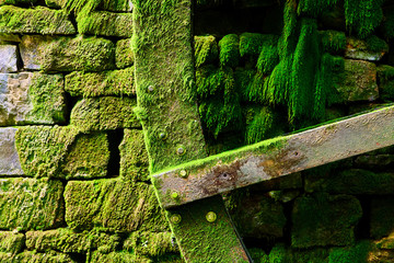 Old Mill Green Moss Stone