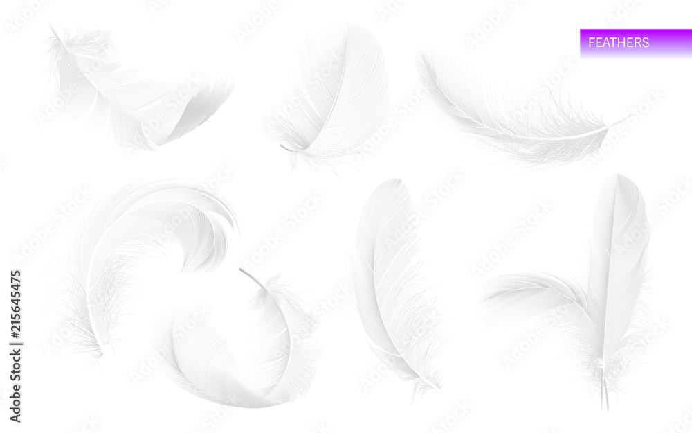 Wall mural set of isolated falling white fluffy twirled feathers on white background in realistic style. vector