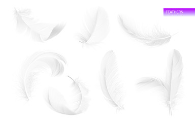 Set of isolated falling white fluffy twirled feathers on white background in realistic style. Vector Illustration