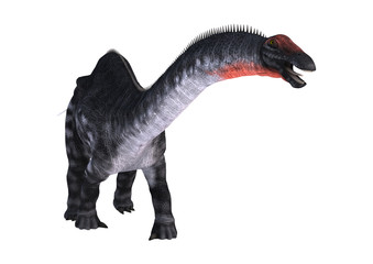 3D Rendering Dinosaur Apatosaurus on White
