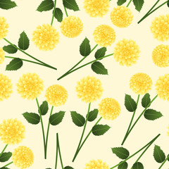 Yellow Dahlia on Beige Ivory Background