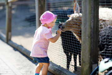 Adorable cute toddler girl feeding little goats and sheeps on a kids farm. Beautiful baby child petting animals in the zoo.