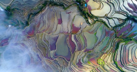 Aerial view on a hut surrounded by rice fields. Hani Rice terraces during spring, when red duckweed grows on the water surface of the irrigated rice paddies, contributing to the amazing colors.