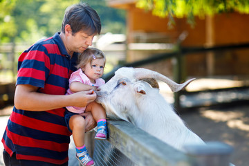 Adorable cute toddler girl and young father feeding little goats and sheeps on a kids farm. Beautiful baby child petting animals in the zoo. man and daughter together